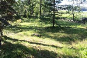 Perämoottorin huolto, nyt pelaa Naapurit avustivat pikkuveneen perämoottorin kanssa, puhdistettiin kaasutin ja nyt pelaa paremmin.