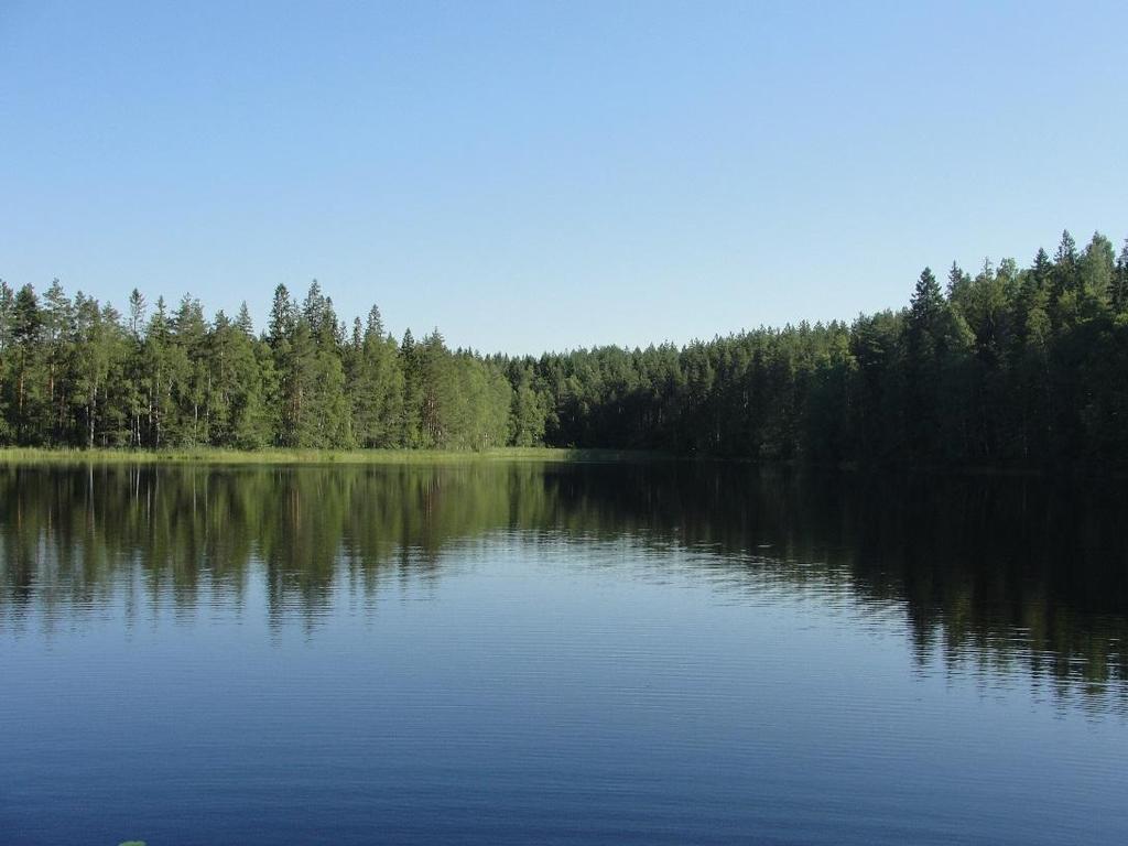 2 / 3 Valkjärven vesinäytteistä tehtiin rehevyyteen ja happitilaan liittyviä analyysejä mm. happea,, ravinteita, klorofylli-a pitoisuutta. Lampi on matala, syvimmillään noin 1,5 m.