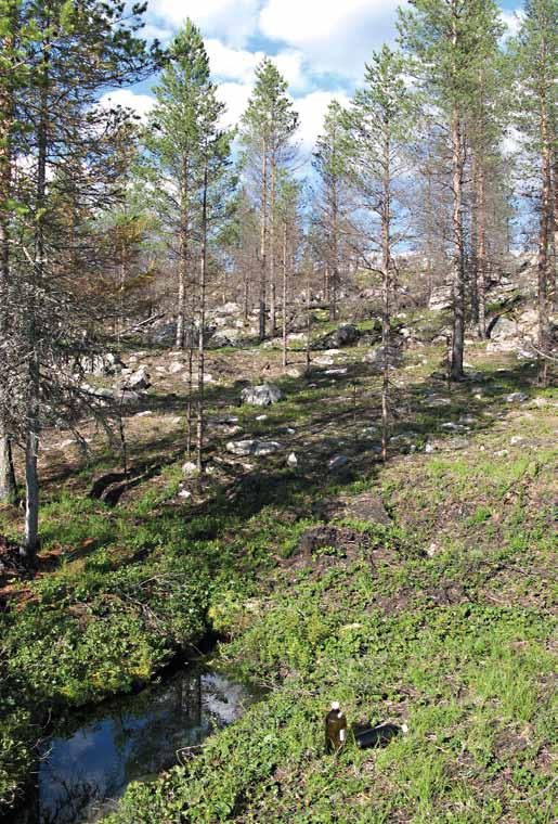 Vesien tarkkailu osana ampuma- ja harjoitu ympäristönsuojeluohjelmaa Puolustusvoimien Pohjankankaan, Lohtajan, Taipalsaaren ja Rovajärven ampuma- ja harjoitusalueille on laadittu yhtenäiset pinta- ja