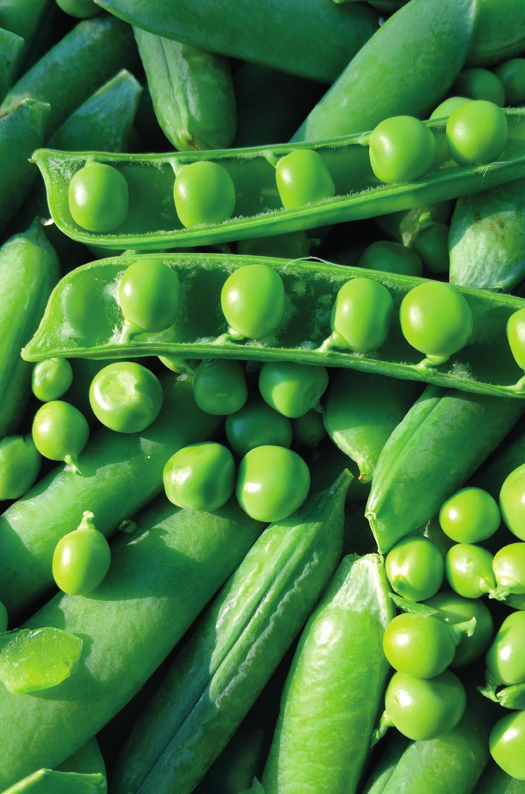Kasviproteiini Vastuullisesti