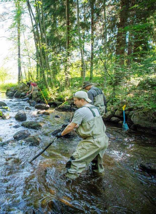 Aloitimme myös K-ryhmän kanssa elokuussa 2017 laajan, monivuotisen