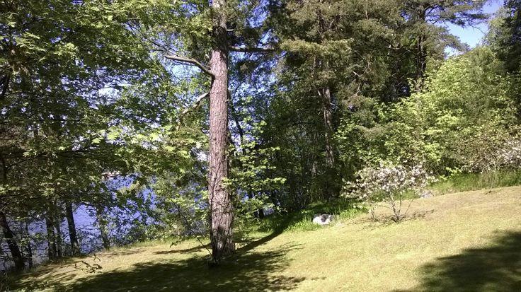 itäiseltä