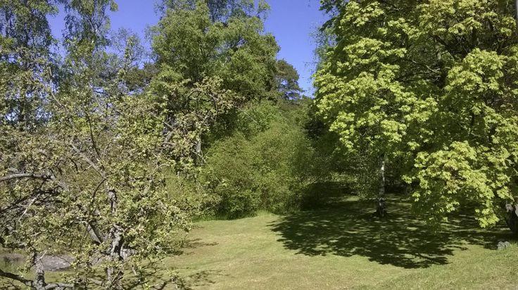 Nykyinen