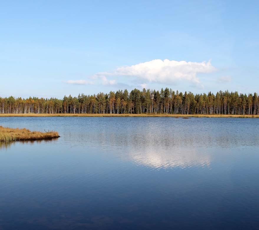KESÄTARJOUS VOIMASSA KESÄ-ELOKUU 2018 Biologiset puhdistusaineet kotiin, mökille ja kesäreissuille! Muistamme lapsuudestamme, kuinka upeita Suomen kesät aina olivat.