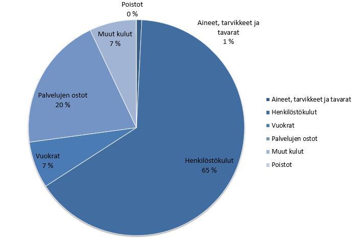 Tiliryhmä muut kulut 1 024 676 (1,2 miljoonaa euroa vuonna 2016) sisältää muun muassa matkustuksen kulut ja jäsenmaksut ulkomaille (ei tutkimusmäärärahasta maksettavat jäsenmaksut) sekä