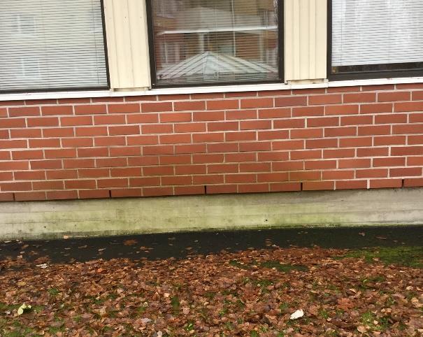 Merkkiainekokeella saatiin selville, että tilassa 118 merkittävimmät vuotokohdat ovat ikkunakarmin ja seinän liitokset. Merkkiaine levisi vähäisessä määrin myös lattiarakenteeseen.
