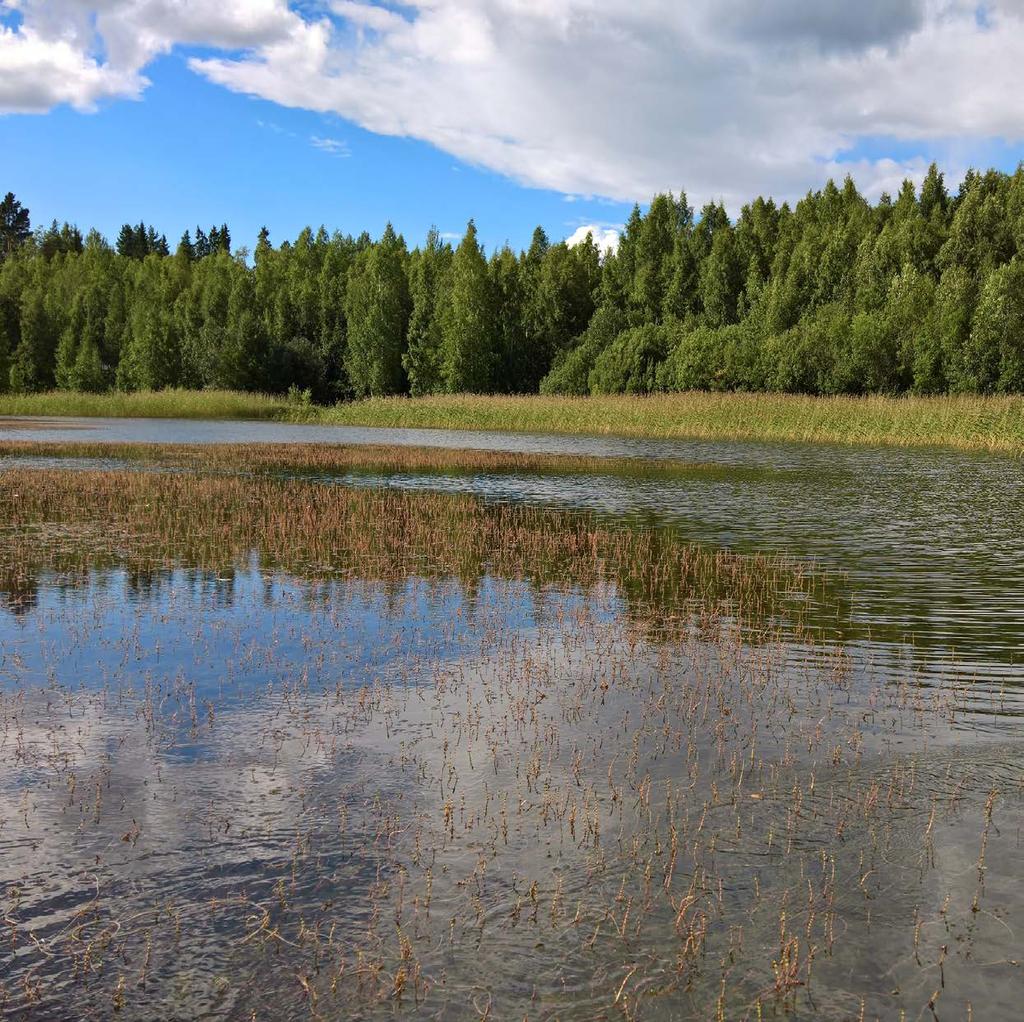 RAPORTTEJA 20 2018 Ympäristön tilan