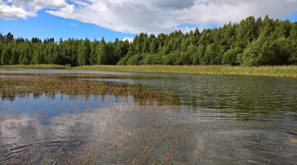3. Hydrologinen seuranta Seurannan tarkoitus ja tavoitteet Hydrometeorologisen ja vesistöseurannan päätavoitteet ovat operatiivinen palvelu sekä pitkäaikaisen tiedon tuottaminen Suomen vesivaroista.