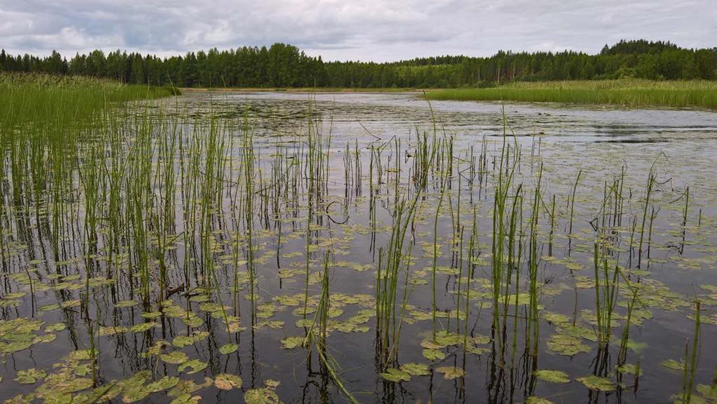 2. Pintavesien tilan seuranta 2.1.