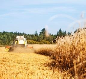 Viljatilan tekniikan mitoitus Kevätkylvöt saa kestää 10 työpäivää 3 m => 100 ha, 6 m => 300 ha Puinnit saa kestää 10