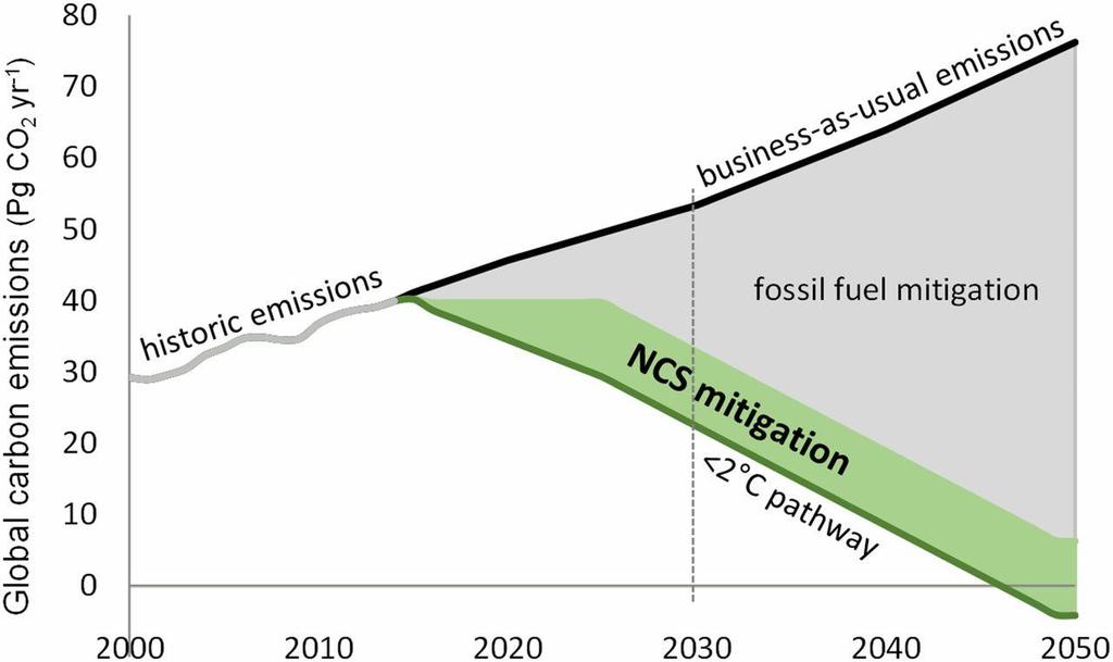 Bronson et al. 2017.