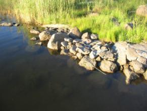 vaimoineen.