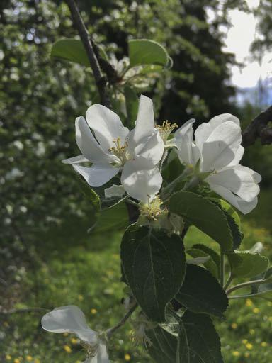 TSOH! Tampereen Seudun