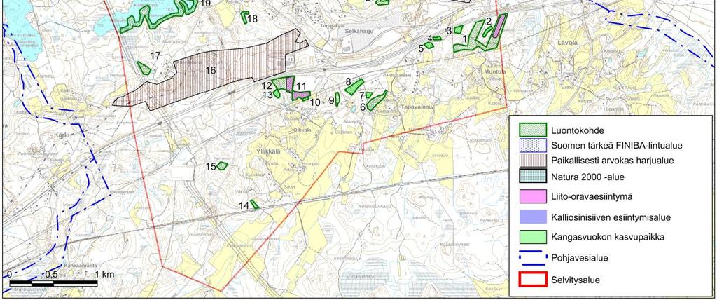 liito-oravaesiintymä 2009, ei liito-oravahavaintoja 2012 2 Kirkkosillan itäinen metsä kangasvuokko uhanalainen kasvilaji
