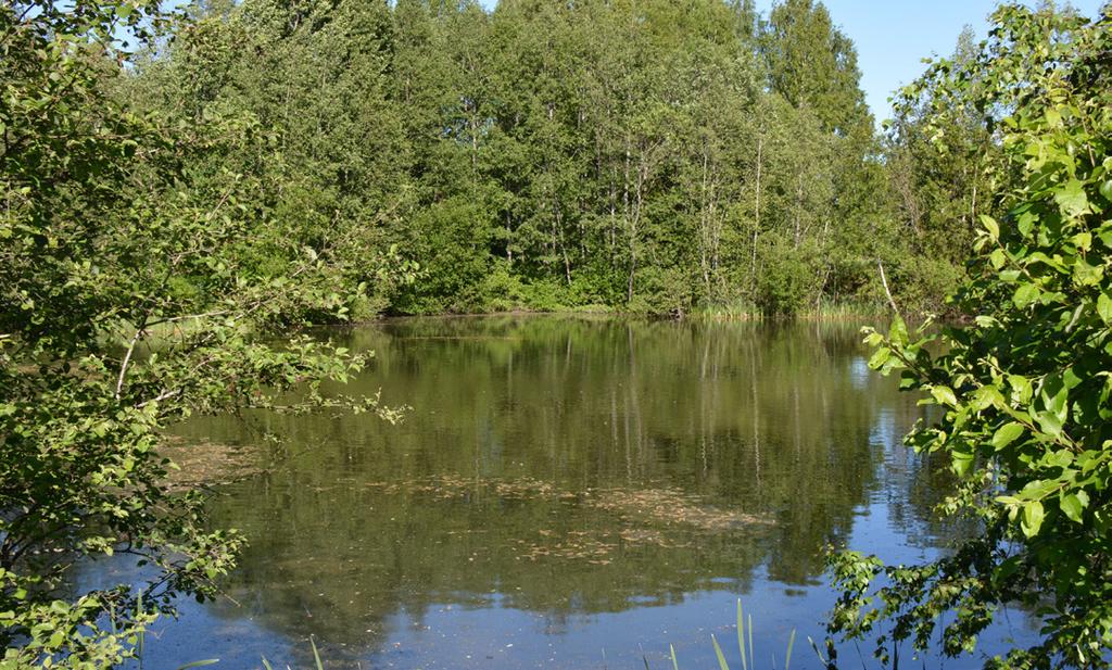 Riihimäen ympäristön tila Riihimäen ympäristön tilassa ei ole viime vuosina tapahtunut merkittäviä muutoksia.