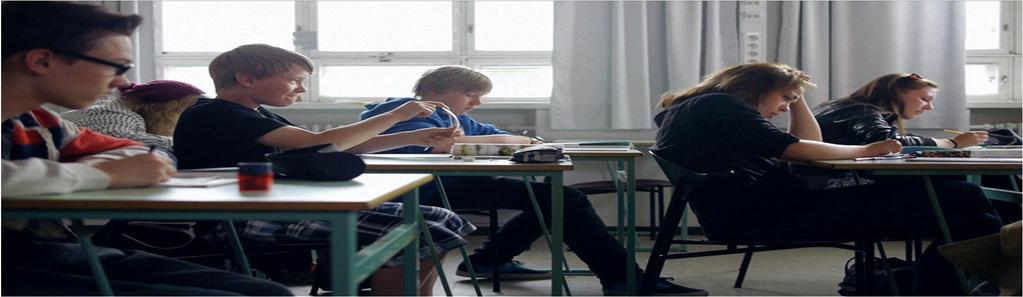 Tulkintakehyksen kulttuurisuus,