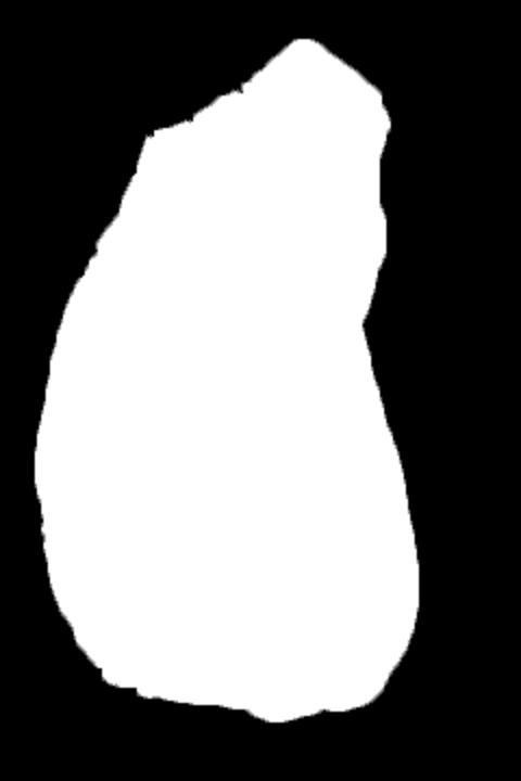 sienikastikkeella,