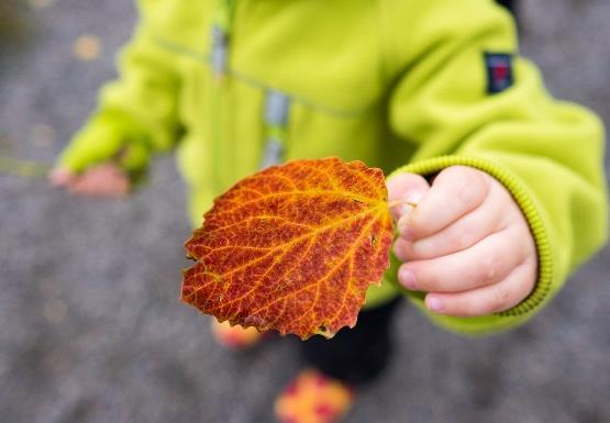 VUODEN 2018 TAVOITTEET Maakunnallisten mallien rakentamisen loppuun saattaminen Ammatillisen osaamisen kehittäminen muutosta tukevaksi Hankkeessa aikaansaadun juurruttaminen Tilaisuudet Maakunnan