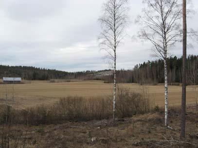suunnasta (itäpuoli, [A] kuva 6-30) Kuva 6 32