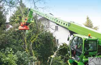 Woodcracker CS smart kourasaha