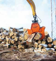Woodcracker W halkomassa paksuja puunrunkoja.