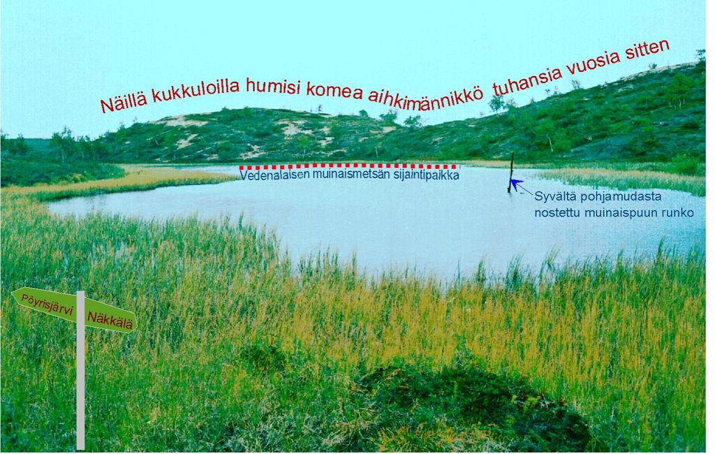 3 Mauri Timonen Ilmaston muutokset kautta aikojen onko menneisyys Lapin metsien tulevaisuuden peili?