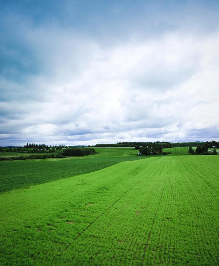 Viherryttämistuki Kevät 2018 Mirka Holmén