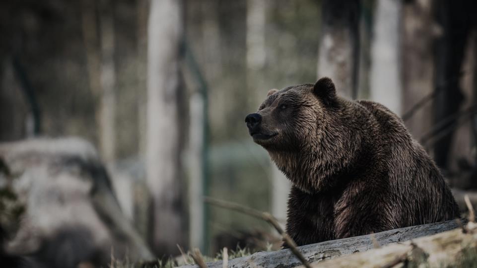 Luonto suuri ihminen pieni.