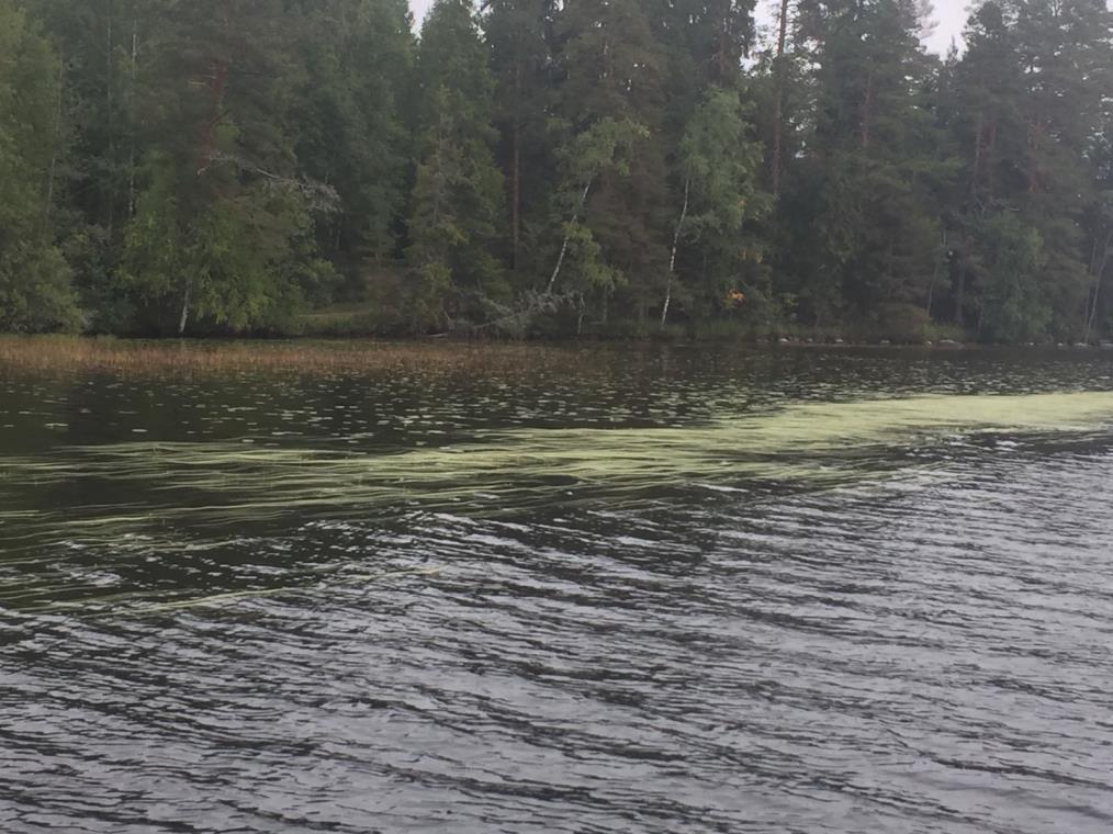 Keravanoja järveltä päin Esiselvityksessä sanotaan seuraavasti: Keravanoja koostuu kahdesta pääuomasta. Pohjoisemman uoman yläjuoksulla on laajahko suoalue lampineen.