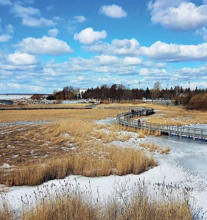 Kulmakivi Suomen teologisen