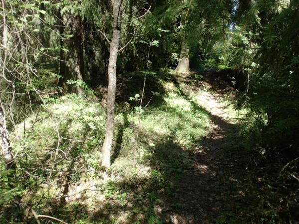 21 Hauta-alueeksi tulkitulla alueella ei siis havaittu mitään ruumishautoihin viittaavaa.