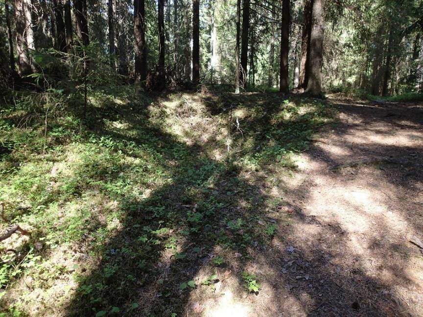24 Rinnevarjostuskuvaan s. 22 vihreällä pisteellä merkattu tunnistamaton kuopanne. Koeojat Mansikkaniemen eteläosan pellossa Tarkkuusinventoidulle peltoalueelle avattiin kaivinkoneella neljä koeojaa.