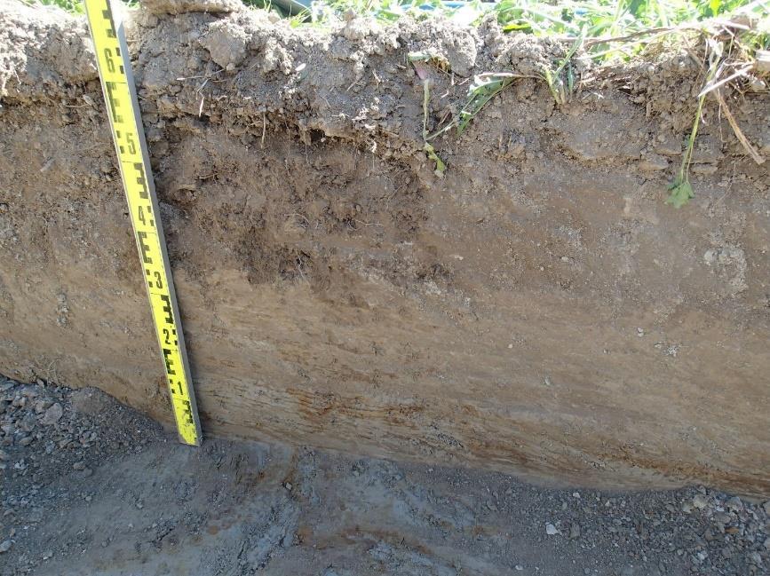 Koeojan 2 länsipäädyn maalajit pintamaasta lukien: 0-30 cm löydötön peltomulta ja 30-50 cm luontainen hiekansekainen savi.
