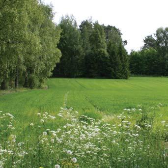 Alue rajautuu etelässä Pälkäneveteen, lännessä peltoalueeseen, pohjoisessa Keljanmäkeen johtavaan tiehen sekä idässä Keljanmäkeen ja rannan loma-asuntoihin.