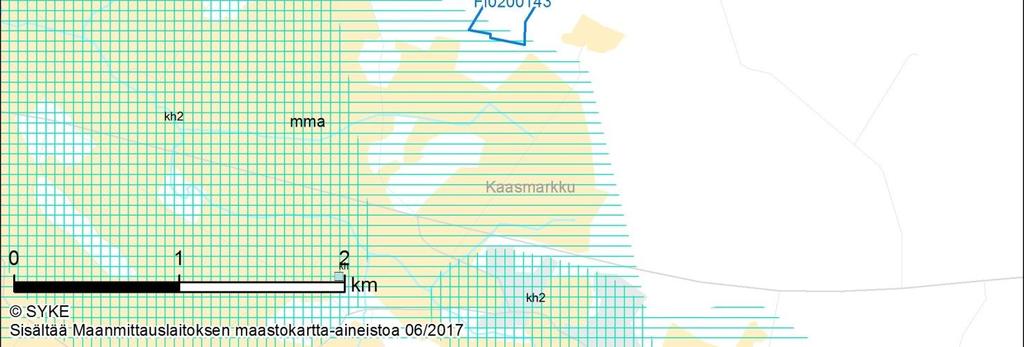 mustikkatyypin tuoreen kankaan (MT) kuusivaltaisesta lahopuustoisesta metsästä, jossa sekapuuna on järeää mäntyä. Lahopuuta on huomattavasti ja puusto kohtalaisen vanhaa.