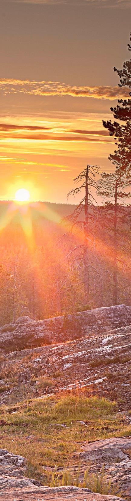 Vision toteutumiseksi meille on tärkeää Uudistusta valmistellaan yhdessä Maakunnan rahoitus on turvattu ja mahdollistaa valmistelun ja