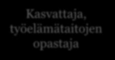 Mihin mentoria tarvittiin?