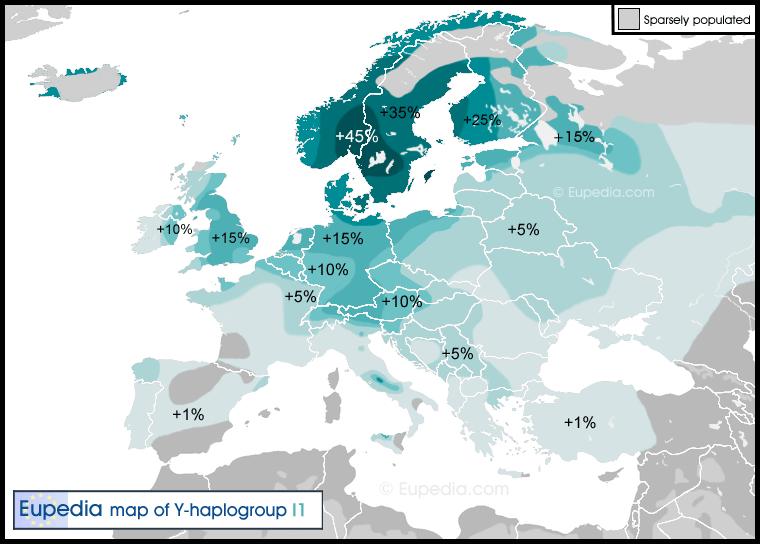 50% miehistä kantaa alun perin Aasiassa syntynyttä N1c1- linjaa. Itä-Suomessa yleisempi kuin lännessä.