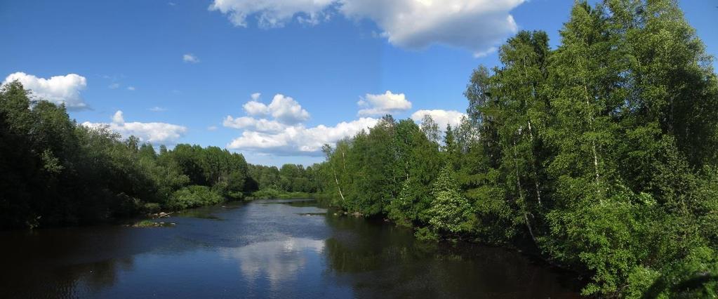 rantaviivassa kapeana vyönä. Metsäistä rantaa kaava-alueella on vain joen etelärannalla Hämeennivan kohdalla. Muualla rannoilla on peltoja tai pihoja. Kuva 8. Siikajoen varressa on lehtipuustoa.