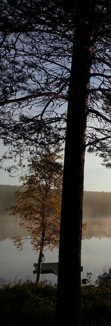 SYY-SEURAUSSUHDE VAI VALIKOITUMINEN Työttömiksi valikoituu helpommin sellaisia henkilöitä, joilla on jo ennestään hyvinvoinnin ja toimintakyvyn ongelmia, mutta työttömyydellä on myös hyvinvointia ja