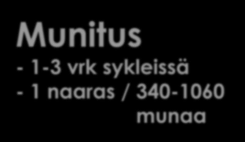 Munitus - 1-3