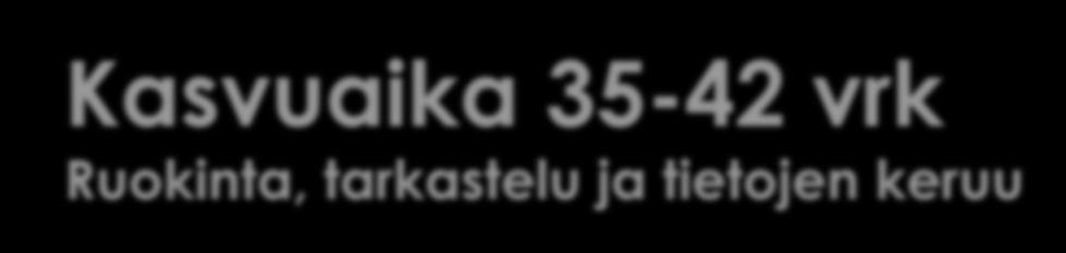 Kasvuaika