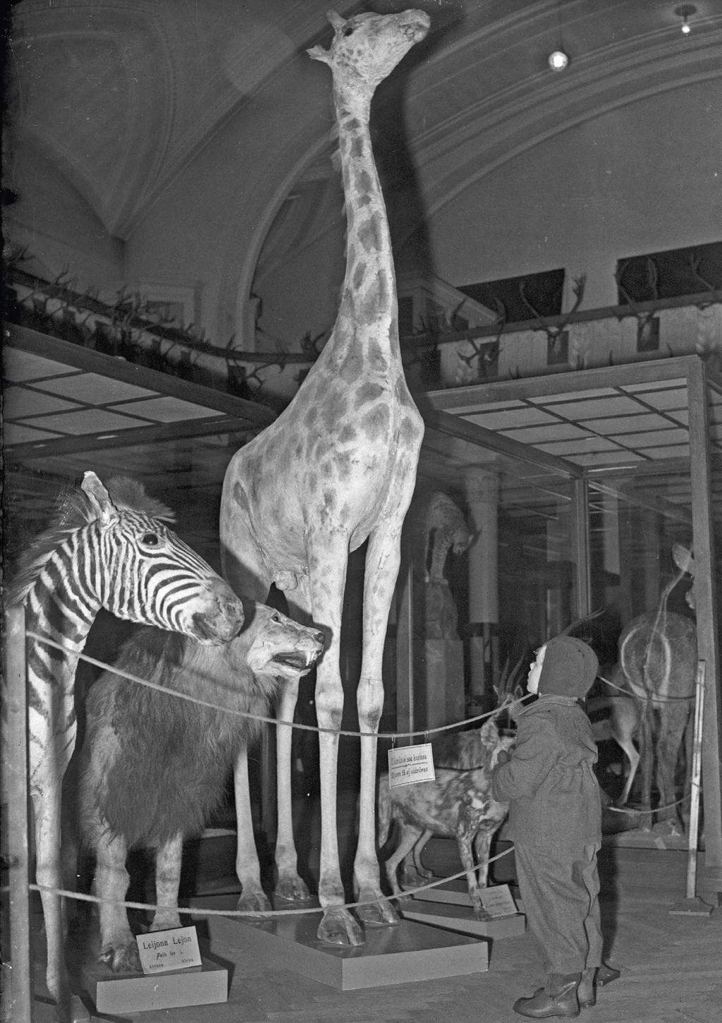 Mahdollisuuksien museo Opetus- ja kulttuuriministeriön museopoliittinen ohjelma