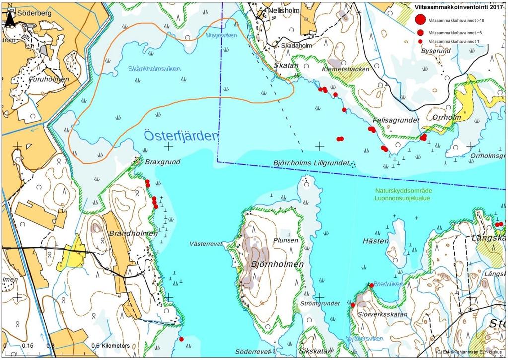 Kuva 4. Vassorin lahden kaakkoinen alue (Österfjärden). Kuvassa havainnot ovat jaoteltuna 1, 5 ja yli 10 yksilön ryhmiin. Alue, jota ei voitu kartoittaa on merkitty oranssilla. 6.