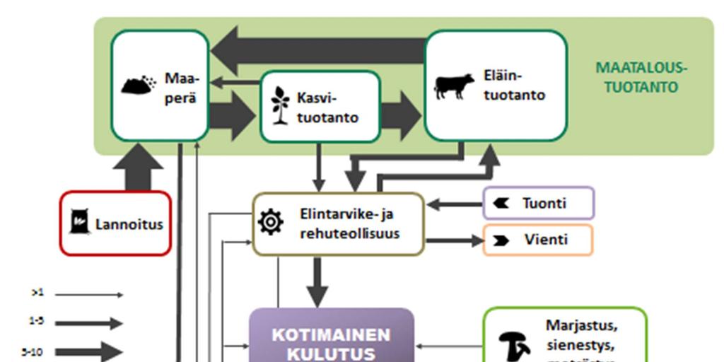 saadaan tietty osuus ravinnepanoksista kasviin, mutta kun eläin syö kasvin vain pieni osa kokonaisfosforista päätyy eläimen ruhoon tai maitoon (kts. Kuva 3.