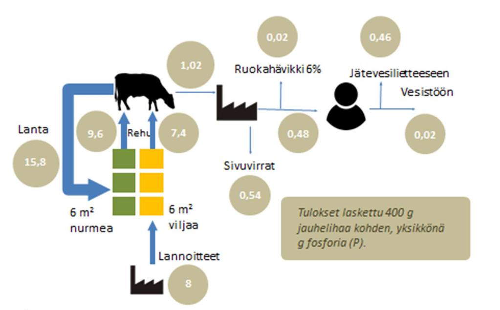 Kuva 4. Kuluttajatuotteisiin päätyvät ravinteet ovat vain pieni murto-osa kokonaisravinnevirroista, joita liittyy esimerkiksi naudanlihan tuotantoon.