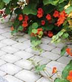 harmaa, musta, punainen ja karelia 51 10,0 1405 Perinnekivi 172x115x60 mm 24,15 27,65 50 10,0 1435 Perinnekivi 115x115x60 mm 24,15 27,65 76 9,6 1395 Perinnekivi 110,5x86x60 mm 110,5x115x60 mm