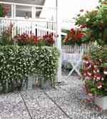 418x418x80 mm* ) Betonilaatta 600x300x70 mm Betonilaatta 600x150x70 mm 4,38 6,11 4,75 5,37 34 5,72 32 5,59 1055 S 7,45 27,6 5,56 48 8,63 1350 6,11 13,8 11,11 96 8,64 1350 * ) Tuotteessa on 2 mm:n
