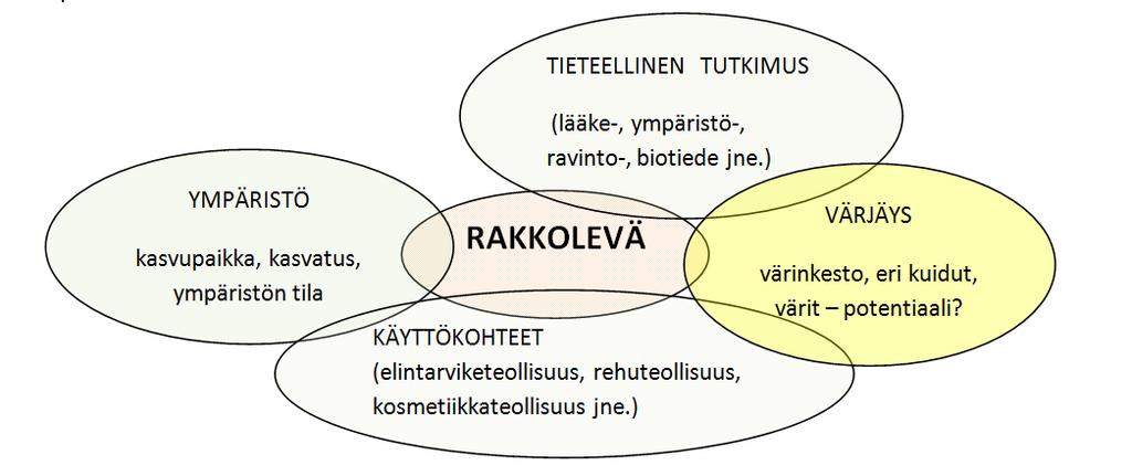 23 5 Viitekehys ja tutkimustehtävä 5.1 Tutkimuksen viitekehys Kuva 4. Viitekehys Kuvasta 4 näkyy viitekehys, johon tämän tutkimuksen aihe rakkolevällä värjääminen sijoittuu.