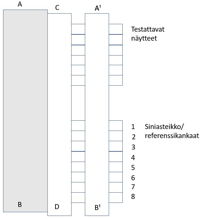 37 Näytteitä pidettiin auringonvalolle altistettuina, kunnes referenssikangas 3 (ks. kuva 10) muutos vastasi harmaa-asteikon arvoa 3. Tämä vaihe saavutettiin 20.6.2017.